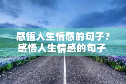 感悟人生情感的句子？感悟人生情感的句子 经典