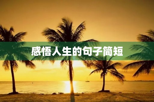 感悟人生的句子简短(女性感悟人生的句子简短)