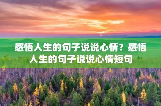 感悟人生的句子说说心情？感悟人生的句子说说心情短句