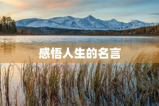 感悟人生的名言(感悟人生的名言名句 经典) 感悟人生的名言(感悟人生的名言名句 经典)