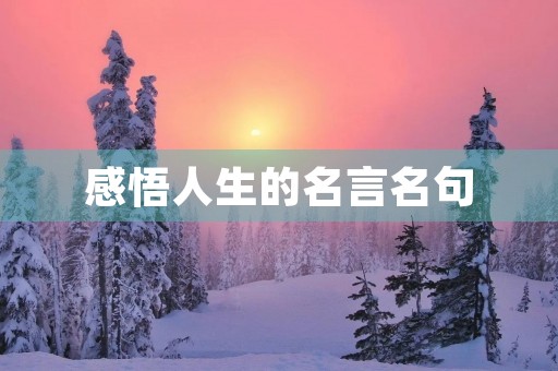 感悟人生的名言名句,感悟人生的名言名句 经典语录励志 感悟人生的名言名句,感悟人生的名言名句 经典语录励志