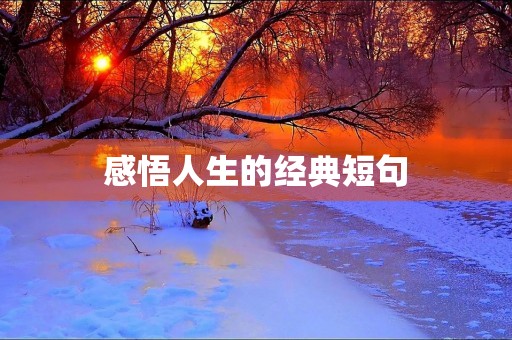 感悟人生的经典短句(感悟人生的经典短句子 朋友圈 励志)