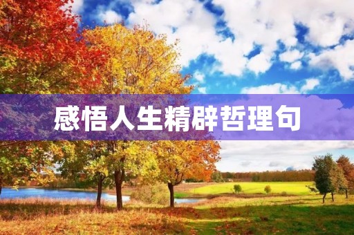 感悟人生精辟哲理句，感悟人生精辟哲理句子