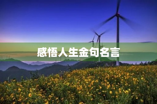 感悟人生金句名言，感悟人生金句名言带翻译