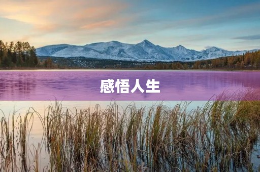 感悟人生，思考未来——同上一堂思政课观后感