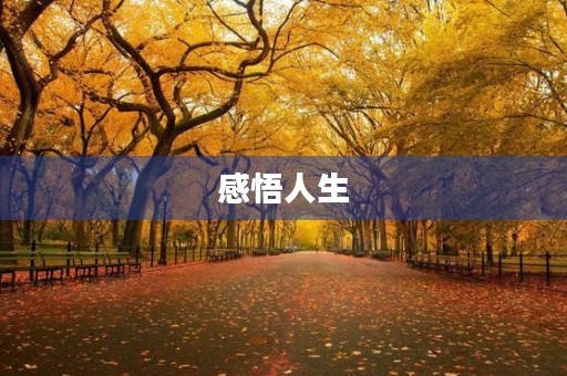 感悟人生,领悟生命真谛 感悟人生,领悟生命真谛