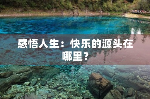 感悟人生:快乐的源头在哪里? 感悟人生:快乐的源头在哪里?