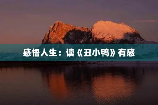 感悟人生:读《丑小鸭》有感 感悟人生:读《丑小鸭》有感