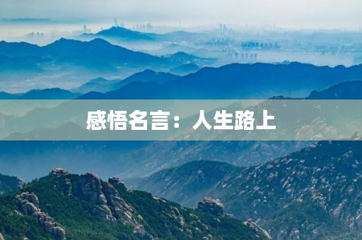 感悟名言:人生路上,方向比努力更重要 感悟名言:人生路上,方向比努力更重要