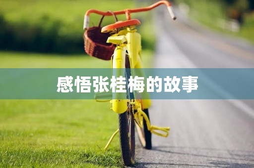 感悟张桂梅的故事