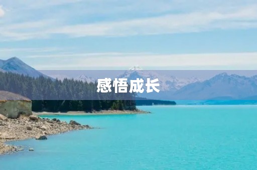 感悟成长,学会成长 感悟成长,学会成长