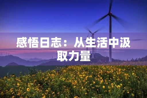 感悟日志:从生活中汲取力量 感悟日志:从生活中汲取力量