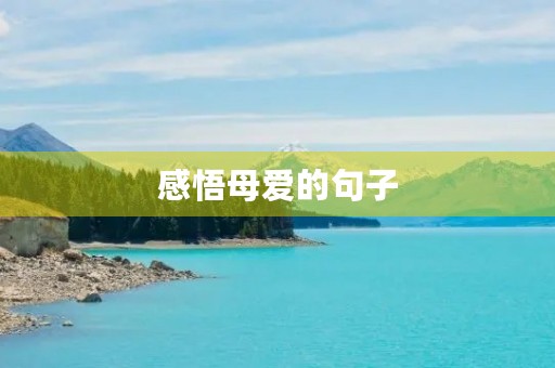 感悟母爱的句子,感悟母爱的句子200字 感悟母爱的句子,感悟母爱的句子200字