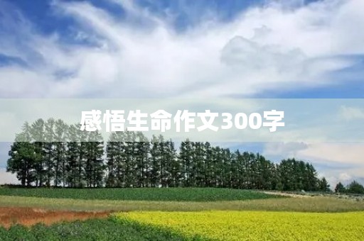 感悟生命作文300字 感悟生命作文300字