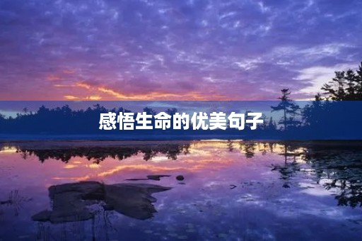 感悟生命的优美句子，感悟生命的优美句子摘抄