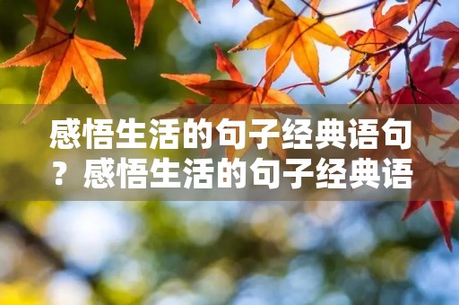 感悟生活的句子经典语句？感悟生活的句子经典语句图片