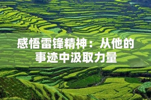 感悟雷锋精神：从他的事迹中汲取力量