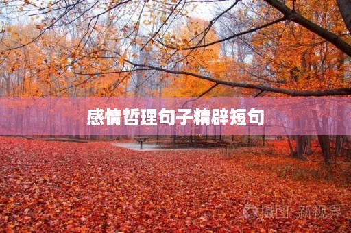 感情哲理句子精辟短句,感情哲理句子精辟短句大全 感情哲理句子精辟短句,感情哲理句子精辟短句大全
