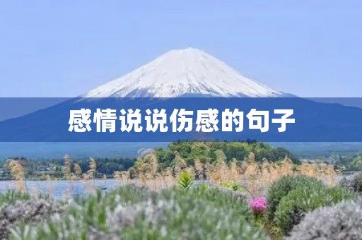 感情说说伤感的句子,感情说说伤感的句子简短 感情说说伤感的句子,感情说说伤感的句子简短