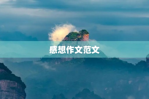 感想作文范文 感想作文范文