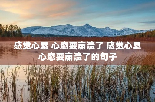 感觉心累 心态要崩溃了 感觉心累心态要崩溃了的句子 感觉心累 心态要崩溃了 感觉心累心态要崩溃了的句子