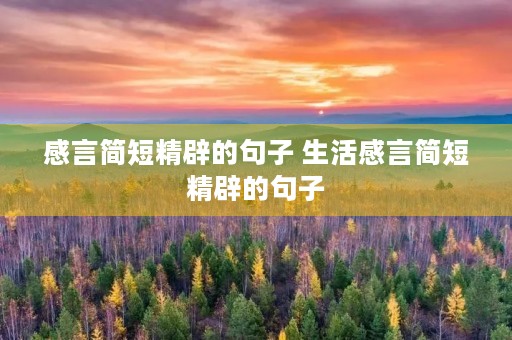 感言简短精辟的句子 生活感言简短精辟的句子 感言简短精辟的句子 生活感言简短精辟的句子