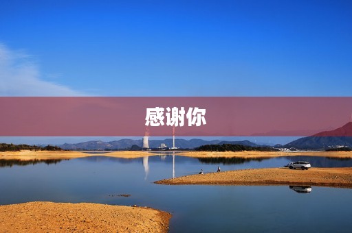 感谢你，我的老师300字