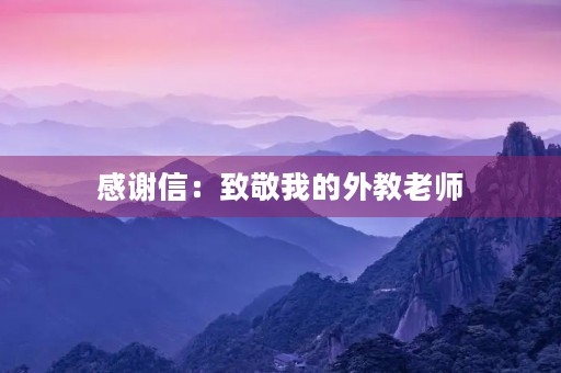感谢信：致敬我的外教老师