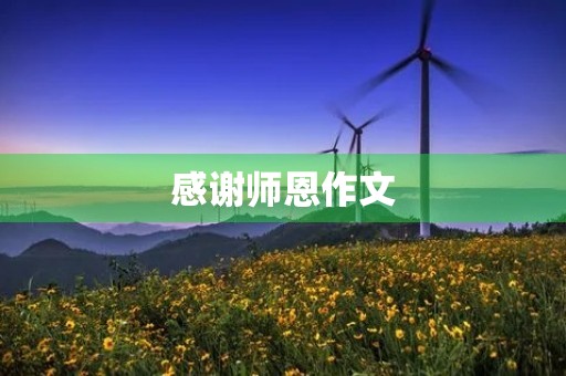 感谢师恩作文