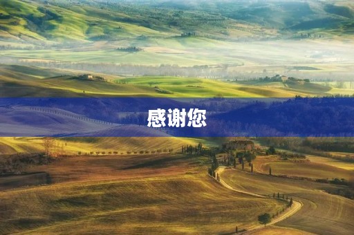 感谢您，妈妈