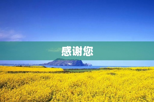 感谢您，老师200字二年级作文