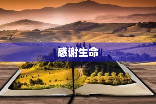 感谢生命,感恩每一天 感谢生命,感恩每一天