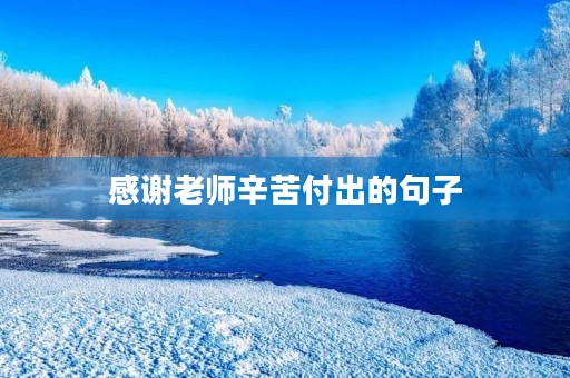 感谢老师辛苦付出的句子(感谢老师辛苦付出的句子暖心)