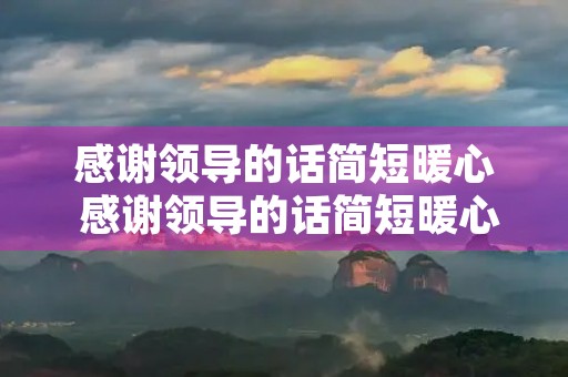 感谢领导的话简短暖心 感谢领导的话简短暖心句子