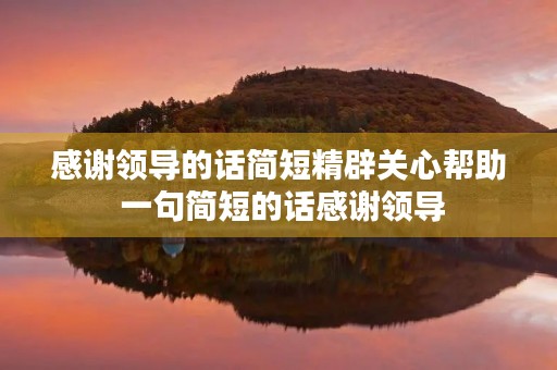 感谢领导的话简短精辟关心帮助 一句简短的话感谢领导