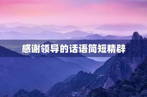 感谢领导的话语简短精辟(感谢领导的话语简短精辟句子) 感谢领导的话语简短精辟(感谢领导的话语简短精辟句子)
