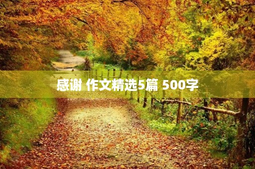 感谢 作文精选5篇 500字