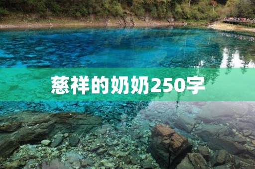 慈祥的奶奶250字