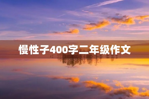 慢性子400字二年级作文