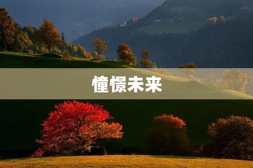 憧憬未来