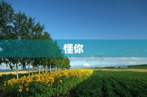 懂你,是最美好的相处方式 懂你,是最美好的相处方式