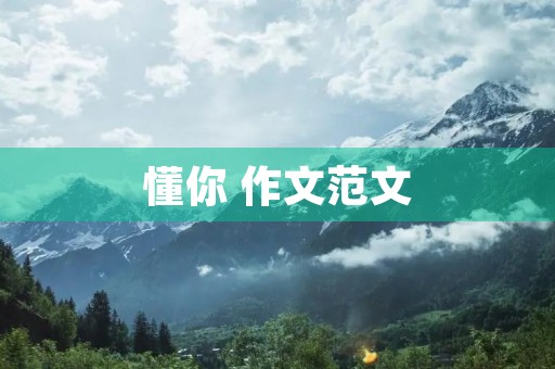 懂你 作文范文