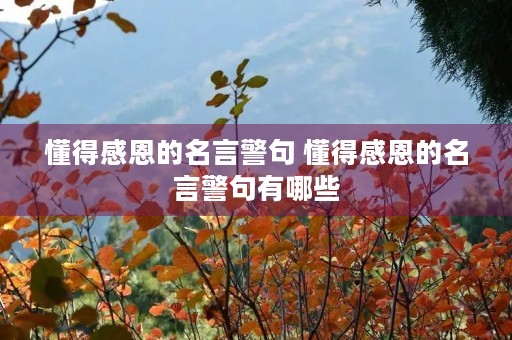 懂得感恩的名言警句 懂得感恩的名言警句有哪些