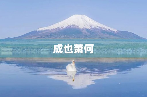 成也萧何，败也萧何成语故事