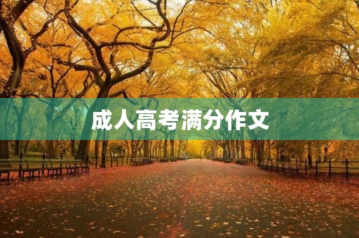 成人高考满分作文
