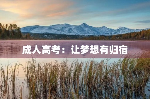 成人高考:让梦想有归宿 成人高考:让梦想有归宿