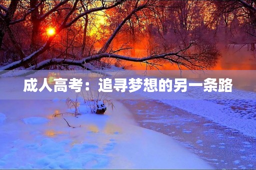 成人高考：追寻梦想的另一条路