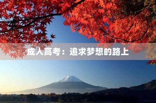 成人高考：追求梦想的路上