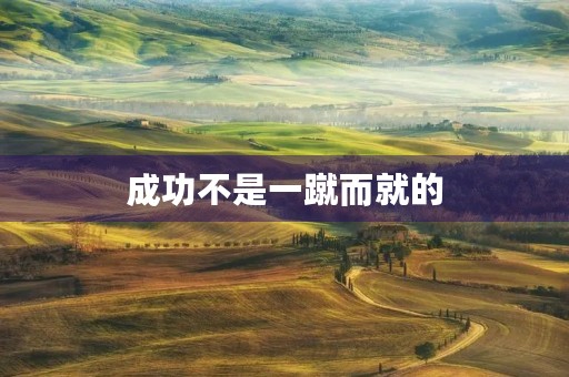成功不是一蹴而就的,需要坚持不懈的努力 成功不是一蹴而就的,需要坚持不懈的努力