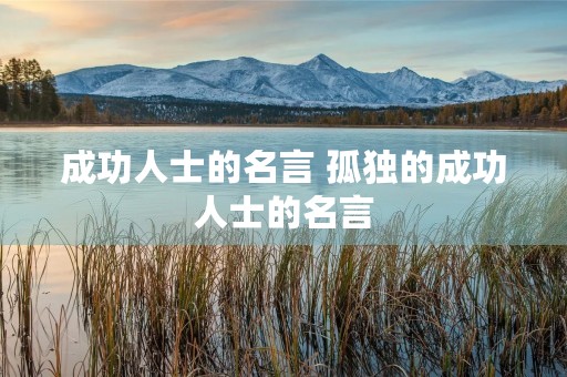 成功人士的名言 孤独的成功人士的名言